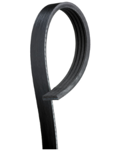 Keilrippenriemen 4PK790